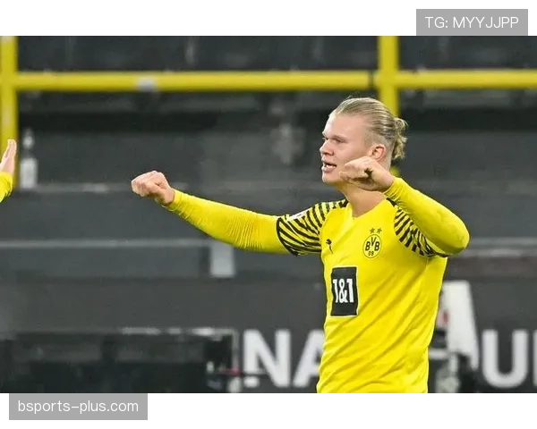 哈兰德效率与体系贡献是否被高估